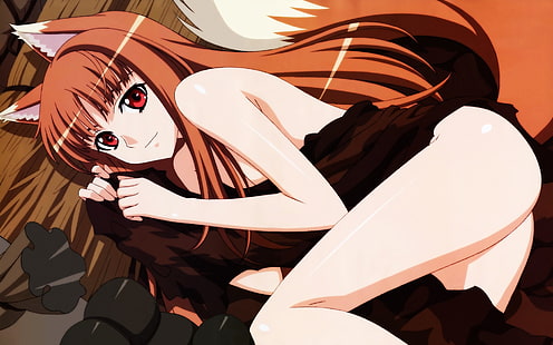 lange braune Haare weibliche Anime-Figur, Anime, Spice and Wolf, Holo, Anime-Mädchen, Tierohren, Okamimimi, HD-Hintergrundbild HD wallpaper