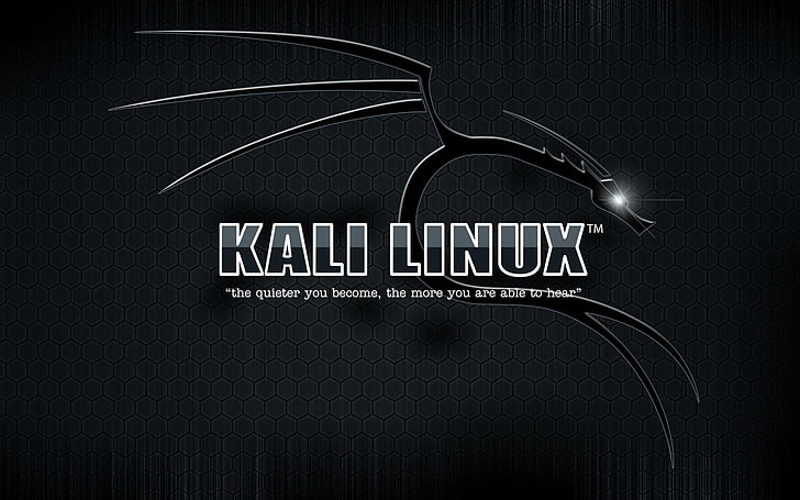 Kali Linux, Fondo de pantalla HD