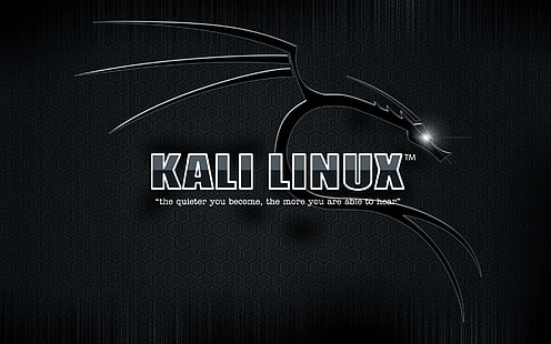 Кали Линукс, HD обои HD wallpaper