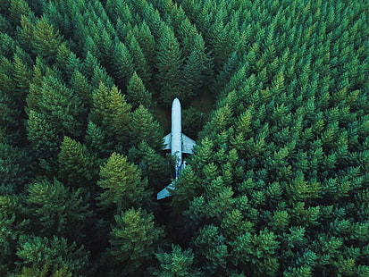лес, самолет, вид сверху, природа, HD обои HD wallpaper