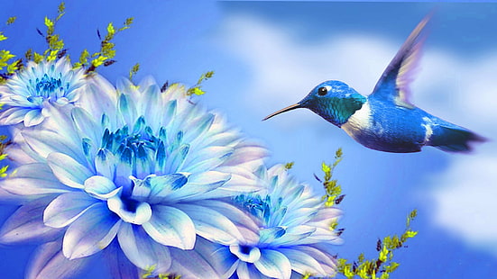 hummingbird melayang di dekat ilustrasi bunga putih, Hummingbird, bunga putih, ilustrasi, alam, keindahan, kontras, kuning, awan, langit biru, sudut pandang, perspektif, burung, hewan, Wallpaper HD HD wallpaper