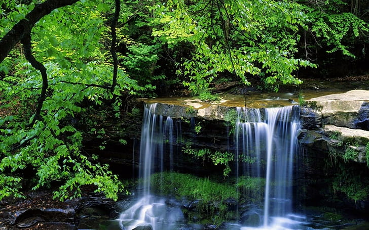 バージニア滝、小さな山の川のベッド高解像度でカルペストの木の自然、 HDデスクトップの壁紙