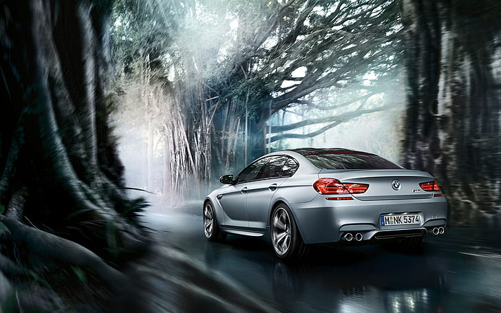 BMW M6 Gran Coupe, BMW M6, limousine, gorgeous, forest, HD wallpaper