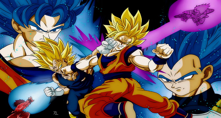 Dragon Ball, Dragon Ball Z, Son Goku, Vegeta, Super Saiyajin Blau, Kaio-Ken, Kamehameha, HD-Hintergrundbild