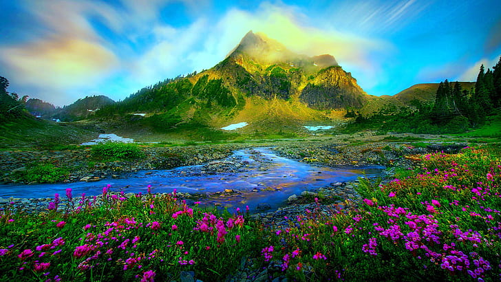 자연 풍경 봄 눈 녹는 야생 보라색 꽃 스트림 돌 녹색 잔디 산 맑은 하늘 이미지 고해상도 1920 × 1080, HD 배경 화면