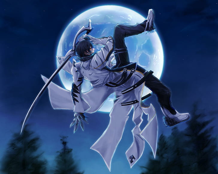 Blade Master Raven, мъж, който държи меч аниме герой, тренчкот, гарван, игри, меч, мъжки, elsword, видео игри, господар на острието, луна, оръжие, нощ, игра, HD тапет