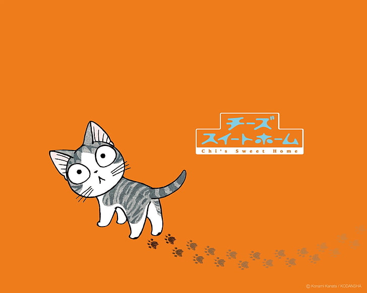 carta da parati digitale gattino bianco e grigio, gattini, Sfondo HD