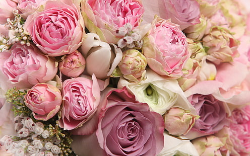 bello, bellezza, bouquet, figo, fiore, fiori, adorabile, simpatico, carino, romanticismo, romantico, rosa, rose, Sfondo HD HD wallpaper