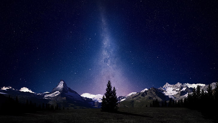 grünblättrige bäume, sternenklare nacht, wald, berge, galaxie, sterne, bäume, himmel, milchstraße, weltraum, landschaft, nacht, schweizer alpen, weltraumkunst, HD-Hintergrundbild