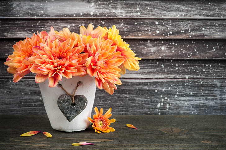 flowers, Orange, chrysanthemum, pot, HD wallpaper