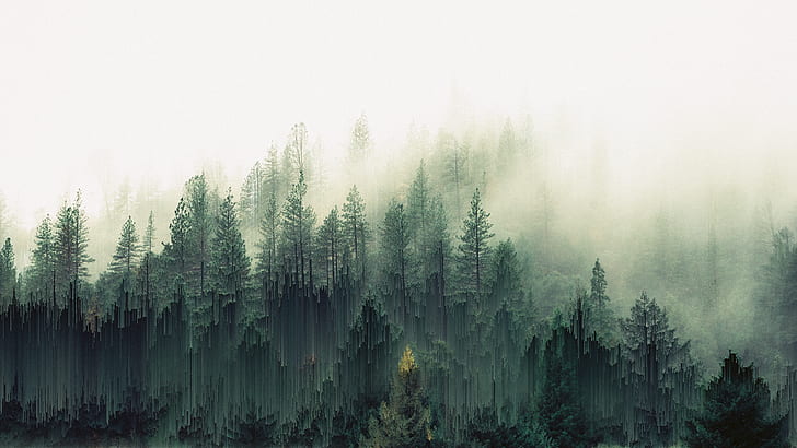 nature, trees, forest, glitch art, HD wallpaper