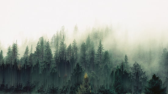 природа, деревья, лес, глит-арт, HD обои HD wallpaper