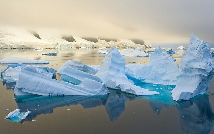 Арктика, лед, вода, HD обои
