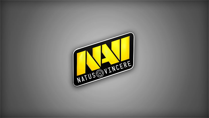 Natus Vincere logo, Team, Counter-Strike, Dota 2, Champions, Natus Vincere, Na`Vi, HD wallpaper