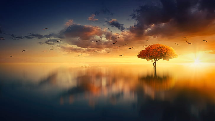 одинокое дерево, закат, отражение, озеро, фантастический пейзаж, дерево, птицы, HD обои