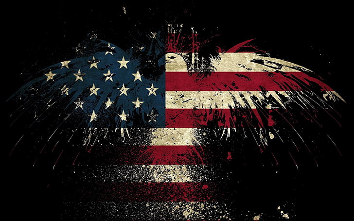 Bandera de Estados Unidos águila arte vectorial, bandera americana, Fondo de pantalla HD