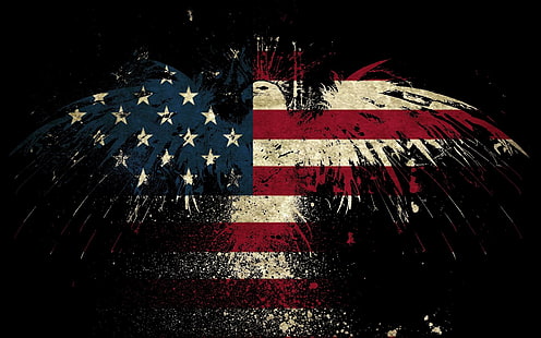 علم الولايات المتحدة الأمريكية، النسر، سهم التوجيه، الفن، العلم الأمريكي، خلفية HD HD wallpaper