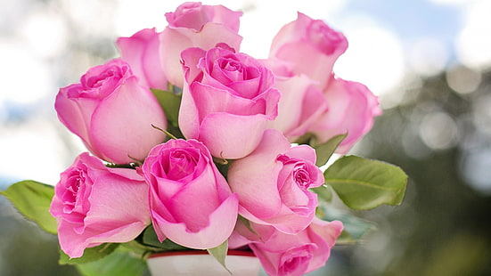 роза, розови рози, розови цветя, розов букет, букет, красива, HD тапет HD wallpaper