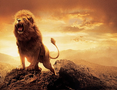 взрослый лев, лев, произведения искусства, небо, животные, HD обои HD wallpaper
