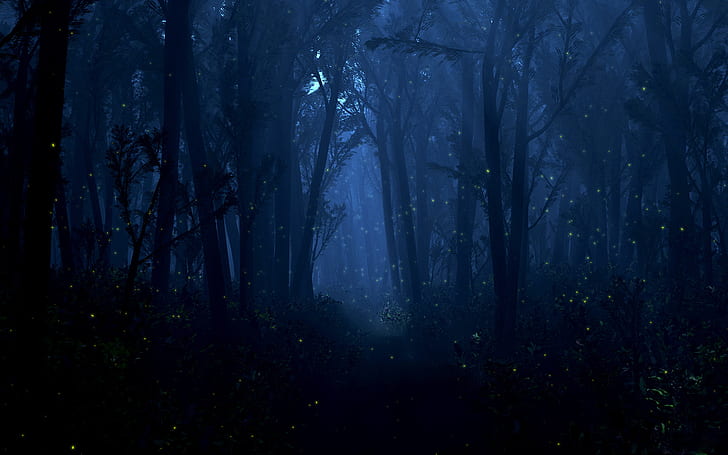 HD hutan, fantasi, hutan, Wallpaper HD