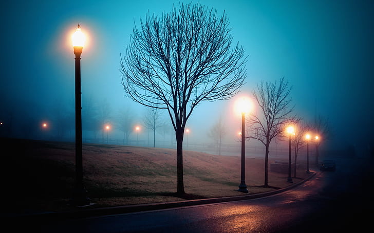 Brouillard, ville, rue, parc, lumières, nuit, Brouillard, ville, rue, parc, lumières, nuit, Fond d'écran HD