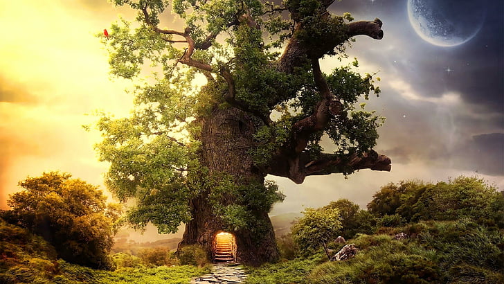 ramo, casa na árvore, terra dos sonhos, imaginação, arte digital de fantasia, arte digital, portão, grama, mudança, sol, natureza, paisagem, luar, luz solar, lua, sonho, arte de fantasia, céu, árvore, HD papel de parede