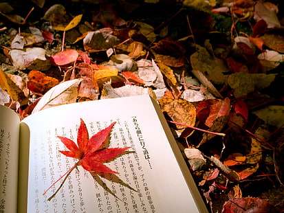 หนังสือญี่ปุ่นฤดูใบไม้ร่วง, หนังสือเรียนภาษาญี่ปุ่น, ฤดูใบไม้ร่วง, ใบไม้, ภาษาญี่ปุ่น, หนังสือ, วอลล์เปเปอร์ HD HD wallpaper