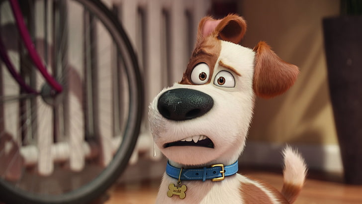 the secret life of pets, movies, animated movies, cartoons, HD wallpaper