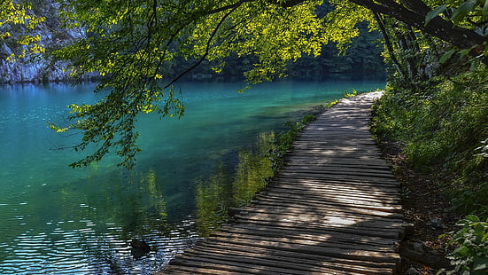 brown wooden dock, landscape, nature, walkway, trees, water, lake, ripples, HD wallpaper HD wallpaper