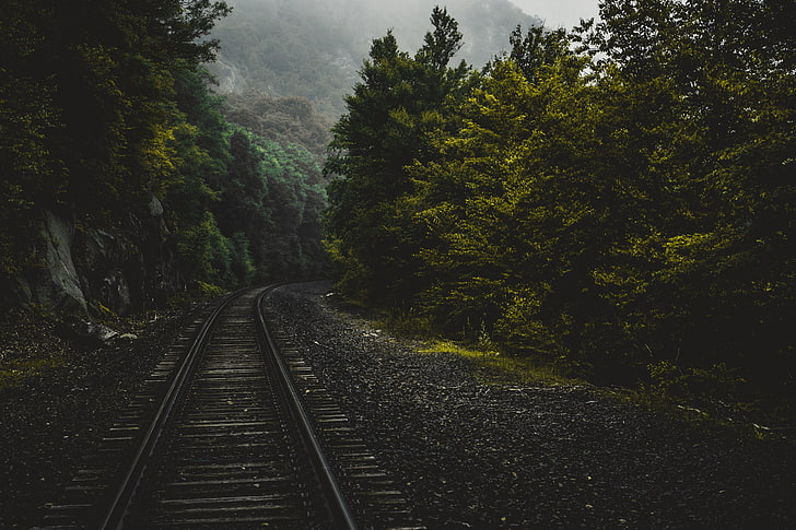 سكة حديدية باللونين البني والأسود ، سكة حديدية ، غابة ، أشجار ، كونيتيكت ، الولايات المتحدة، خلفية HD