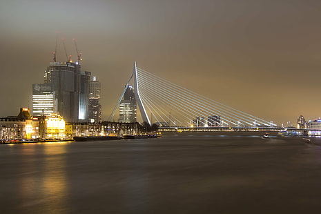 都市景観、ロッテルダム、ロッテルダム、エラスムス橋、ロッテルダム、写真、都市景観、エラスムスブルク、エラスムス橋、マース、オランダ、オランダ、オランダ、都市、夜の光、光害、有名な場所、建築、夜、川、都市スカイラインの写真、橋-人工構造、都市のシーン、吊り橋、 HDデスクトップの壁紙 HD wallpaper