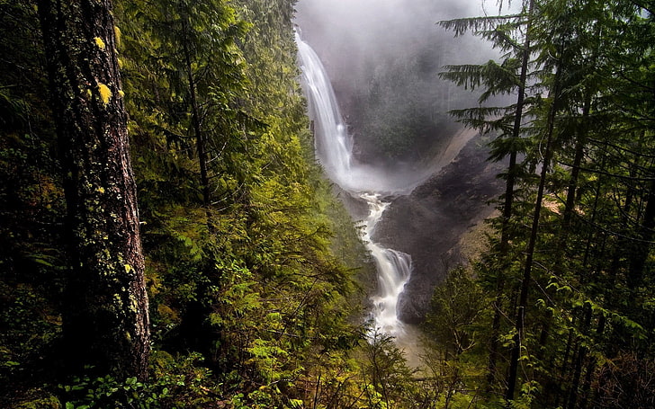 cascadas, naturaleza, bosque, árboles, cascada, Fondo de pantalla HD