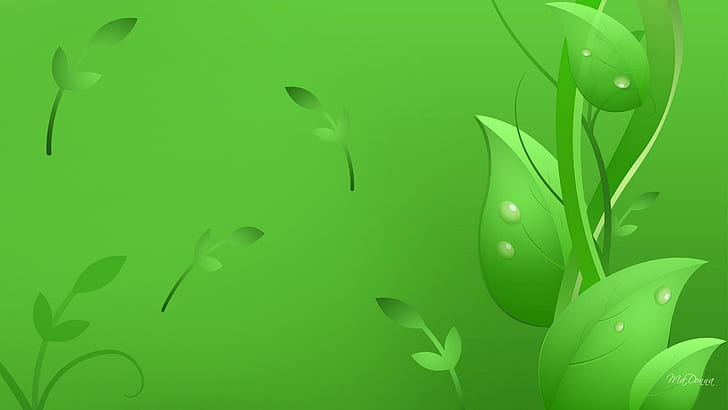 Hojas verdes frescas, fondo de pantalla de hojas verdes, menta, hojas frescas, verde, prístino, naturaleza, primavera, dispersión, follaje, naturaleza y paisajes, Fondo de pantalla HD