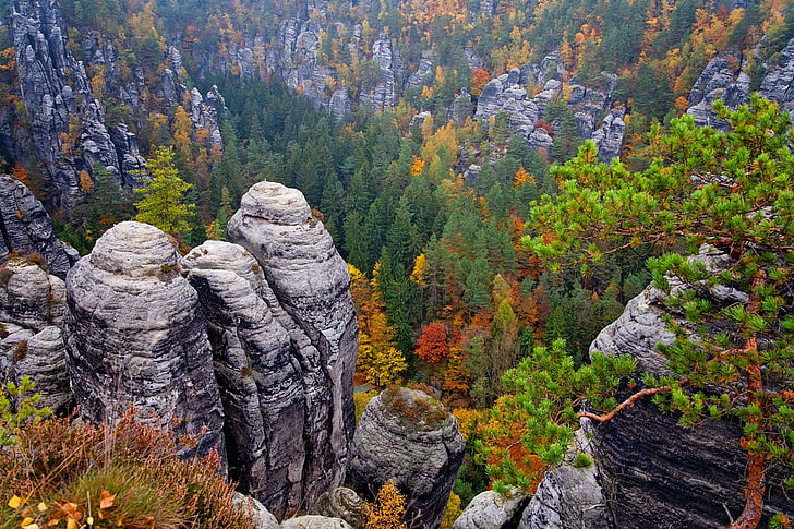 山、山、地球、エルベ砂岩山、秋、紅葉、森林、ドイツ、砂岩、ザクセン、 HDデスクトップの壁紙