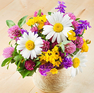 разнообразни цветни листни цветя, маргаритки, цветя, детелина, цвете, ваза, HD тапет HD wallpaper