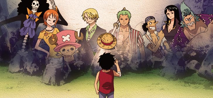 One Piece, Monkey D. Luffy, pirates, Straw Hat Pirates, Roronoa Zoro, Sanji, Nami, Nico Robin, Usopp, Tony Tony Chopper, Brook, HD wallpaper