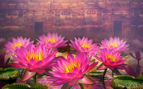 زهور ثلاثية الأبعاد ، زنابق الماء الوردية ، ثلاثية الأبعاد ، زهور ، وردي ، ماء ، زنابق، خلفية HD HD wallpaper