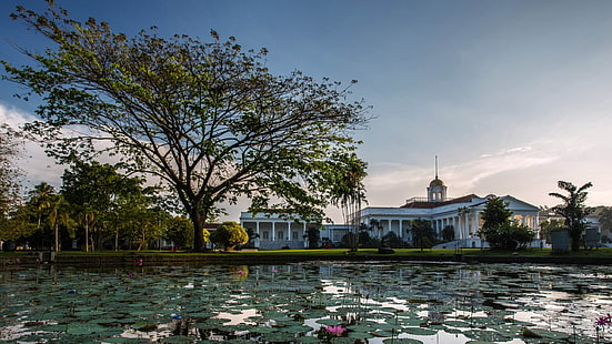 palais de Bogor, Fond d'écran HD HD wallpaper
