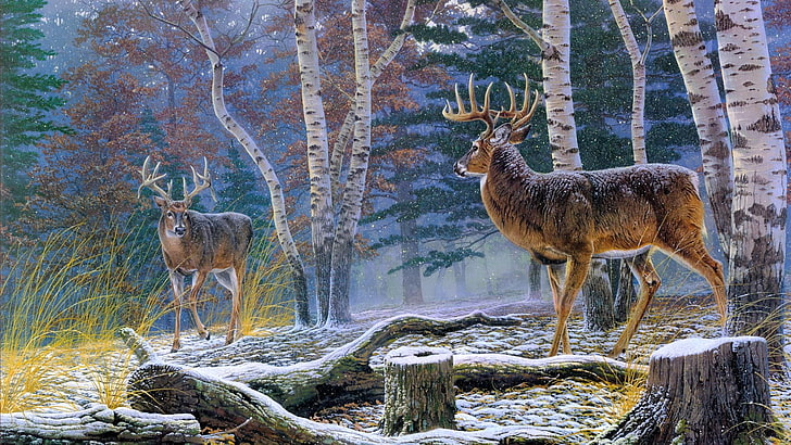 wildlife, nature, painting, deer, forest, wilderness, tree, stag, woodland, winter, white tailed deer, snow, HD wallpaper