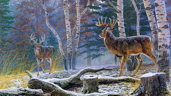 wildlife, nature, painting, deer, forest, wilderness, tree, stag, woodland, winter, white tailed deer, snow, HD wallpaper HD wallpaper