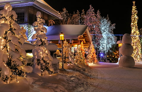 finlandiya, köknar, lapland, mevsim, kar, kardan adamlar, kış, HD masaüstü duvar kağıdı HD wallpaper