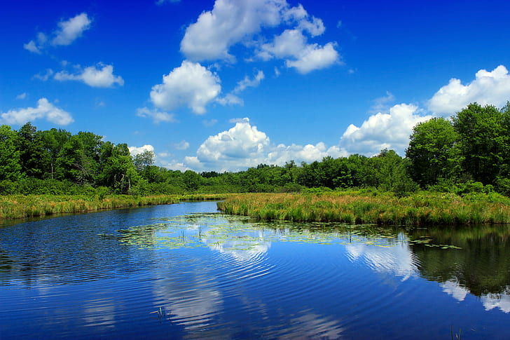 спокоен воден басейн, заобиколен от дървета, Mill Pond, спокоен, воден басейн, дървета, Пенсилвания, Монро Каунти, Tobyhanna Creek, Poconos, пейзаж, влажна зона, небе, облаци, купчинки, лято, природа, Creative Commons, дърво, гора, синьо, на открито, езеро, вода, отражение, живопис, река, HD тапет