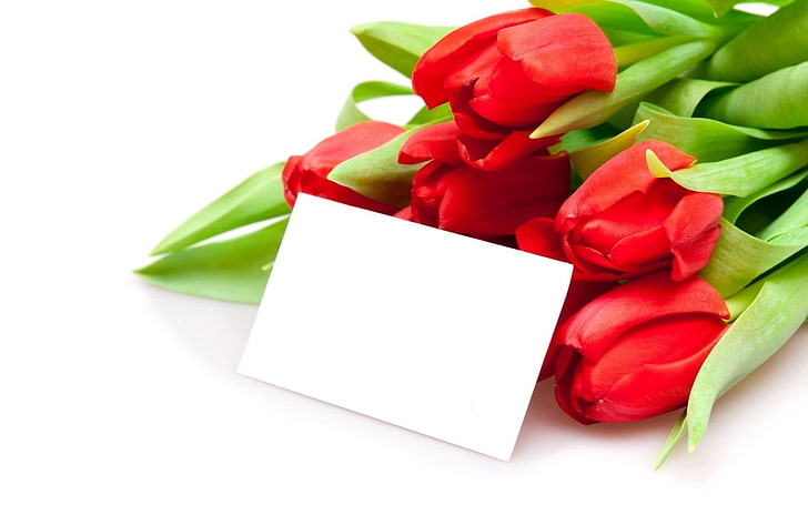 red tulips bouquet, tulips, flowers, bouquet, lies, envelope, HD wallpaper