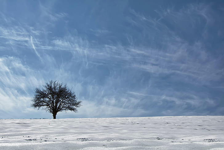 the sky, snow, tree, Asia, ethno-geographical region, Kurdistan, HD wallpaper