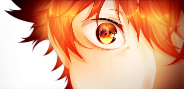 Anime, Haikyu !!, Shōyō Hinata, HD-Hintergrundbild HD wallpaper
