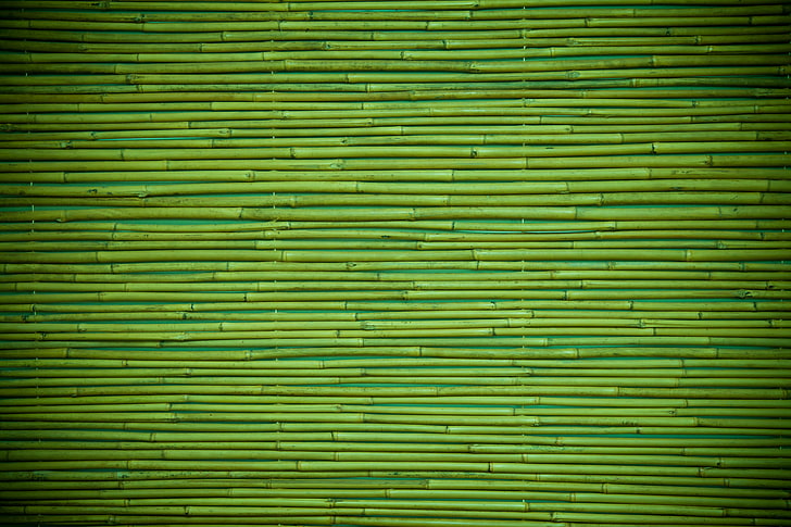 зеленый бамбук цифровые обои, зеленый, дерево, узор, бамбук, HD обои