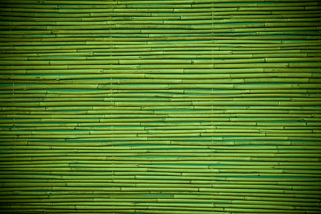 зеленый бамбук цифровые обои, зеленый, дерево, узор, бамбук, HD обои HD wallpaper