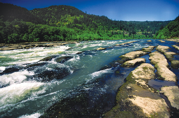 แม่น้ำธรรมชาติภูมิทัศน์หินต้นไม้น้ำตื้น, วอลล์เปเปอร์ HD