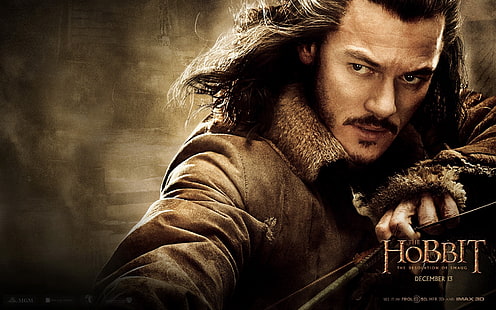 The Hobbit movie cover, the hobbit the desolation of smaug, 2013, luke evans, bard, girion, HD wallpaper HD wallpaper