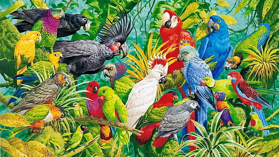 papegojor, papegoja, fåglar, fågel, målningskonst, konst, målning, HD tapet HD wallpaper